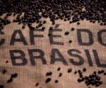 Safra dos Cafés do Brasil é estimada em 54,79 milhões de sacas