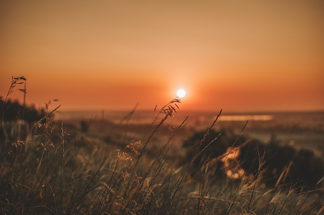 Foto: Pixabay Foto: Pixabay