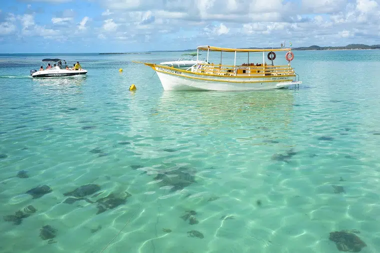 praia de Maragogi