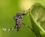 Saúde intensifica campanha contra dengue, zika e chikungunya no ES