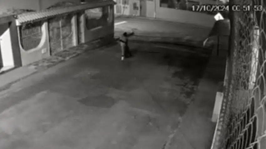 Animais envenenados em Cachoeiro