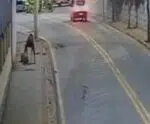 Homem é flagrado agredindo cachorro em calçada de Alegre; veja o vídeo