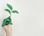 Sustentabilidade: novas regras impactarão empresas brasileiras em 2025