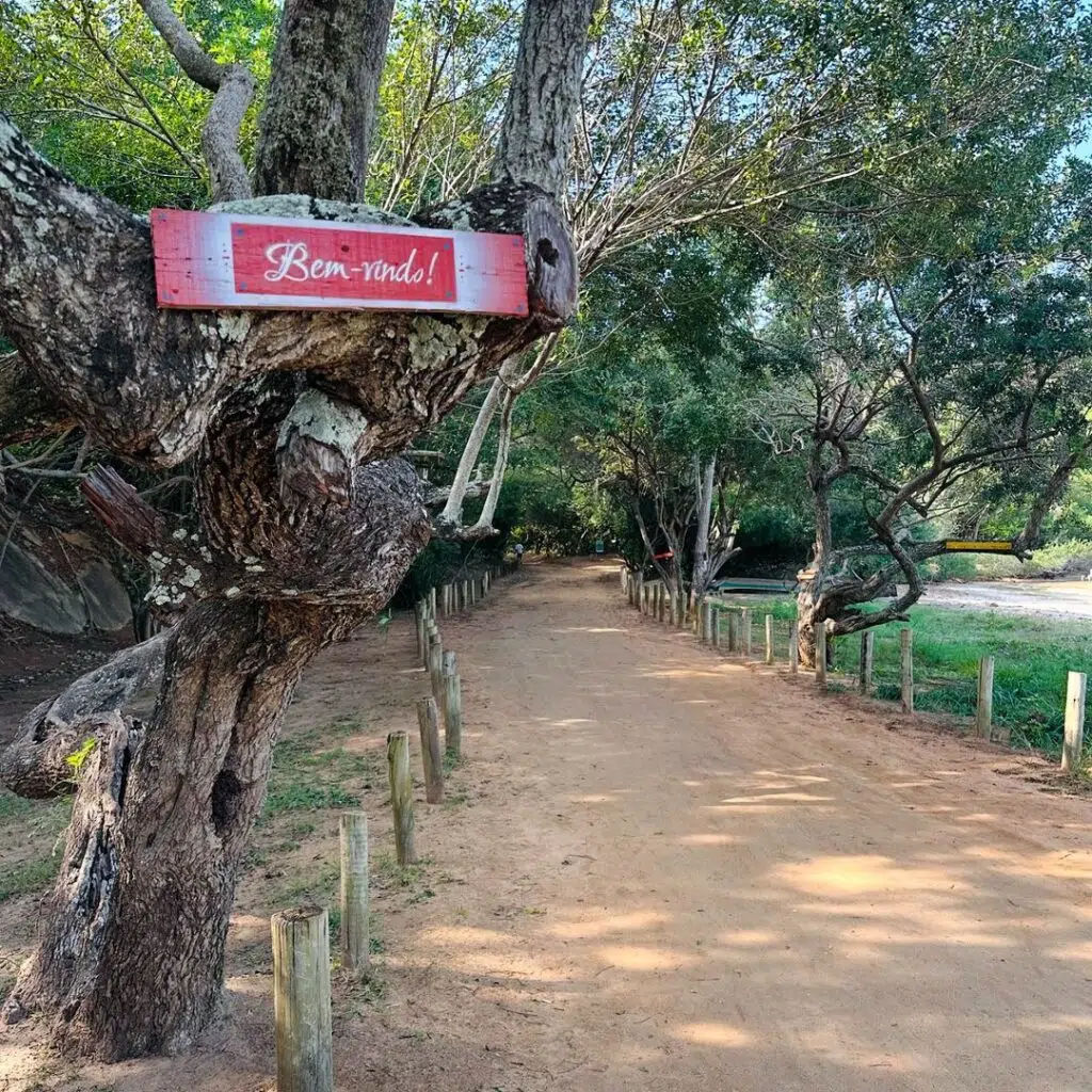Ilha do Gambá, Piúma