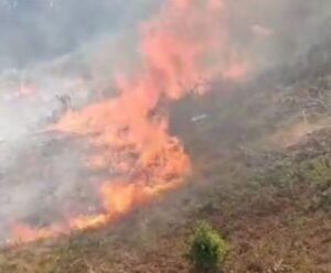 VÍDEO | Moradores registram incêndio se espalhando em pasto em Cachoeiro Incêndio em pasto em Cachoeiro
