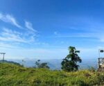 Mirante da Tentativa revela paisagens incríveis em Rio Novo do Sul