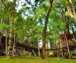 Parque Oschin! Conheça a atração familiar com mega playground e trilha