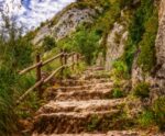 Projeto de vida – celebração e desafio