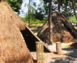 Aldeia Temática Tekoá Mirim: turismo de experiência em Aracruz