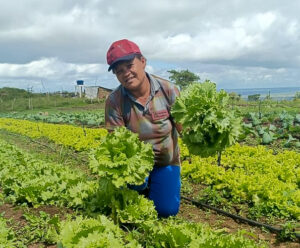 Bolsa Verde: R$ 60 milhões para famílias em áreas de conservação