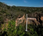 Brasil tem inúmeras cachoeiras para serem visitadas; conheça algumas das mais belas