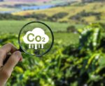 Conheça o projeto de crédito de carbono para cafeicultores