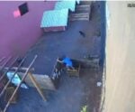 Por que menino que matou animais em hospital veterinário não pode ser punido?