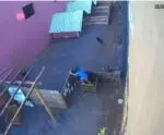 Por que menino que matou animais em hospital veterinário não pode ser punido?