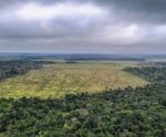 Crédito rural e desmatamento: operação combate fraudes na Amazônia