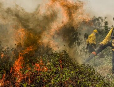 Defesa Civil alerta para aumento de incêndios em Marataízes