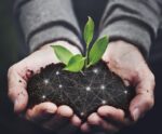 Crédito de carbono no agro gera oportunidades
