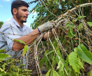 ES vai fomentar negócios com impacto socioambiental