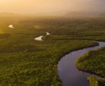 Noruega doa US$ 60 milhões ao Fundo Amazônia, anuncia governo