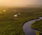 Noruega doa US$ 60 milhões ao Fundo Amazônia, anuncia governo