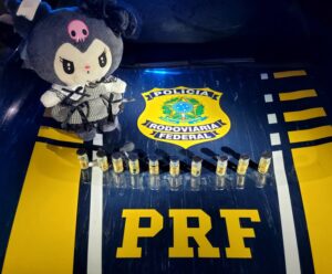 PRF apreende anabolizantes escondidos em urso de pelúcia no ES Anabolizantes urso de pelúcia