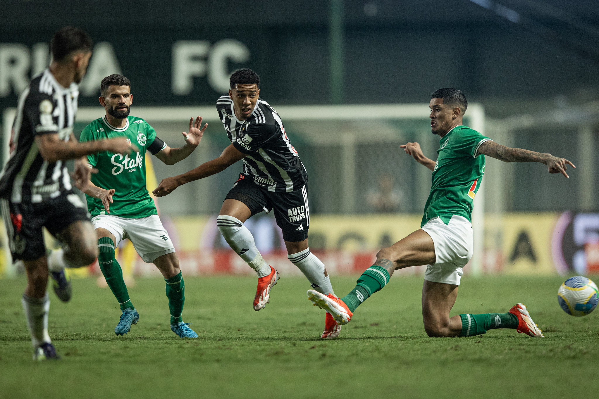 Foto: Pedro Souza/Galo Foto: Pedro Souza/Galo