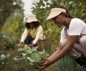 Conexão entre campo e cidade alimenta crianças e adolescentes Campo cidade e crianças