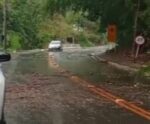 Conceição do Castelo registra queda de árvores após fortes chuvas