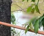 Mais um corpo é encontrado no rio Itapemirim em Cachoeiro