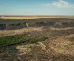 Desmatamento no Cerrado cai após cinco anos de aumento contínuo