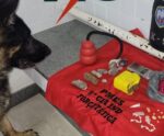 Achou! Cão da PM encontra drogas escondidas em Marataízes