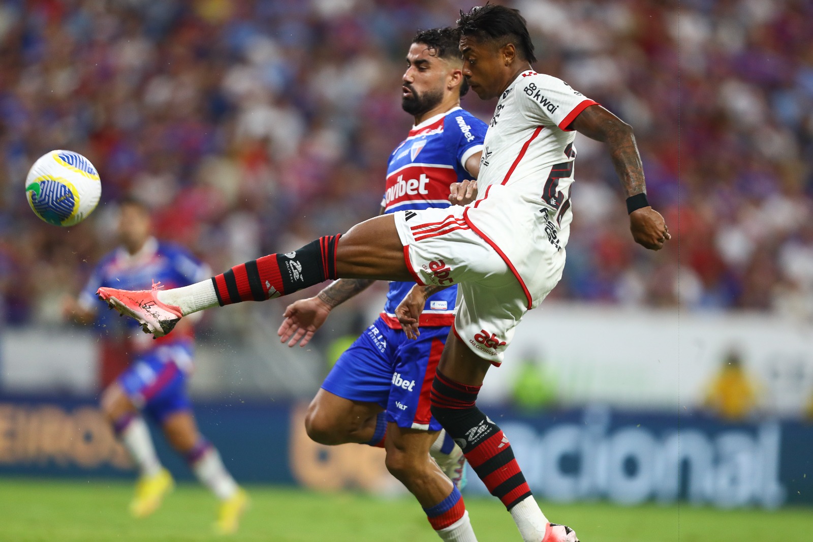Foto: Gilvan de Souza / CRF Foto: Gilvan de Souza / CRF