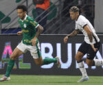 Palmeiras x Botafogo AO VIVO: onde assistir e escalações