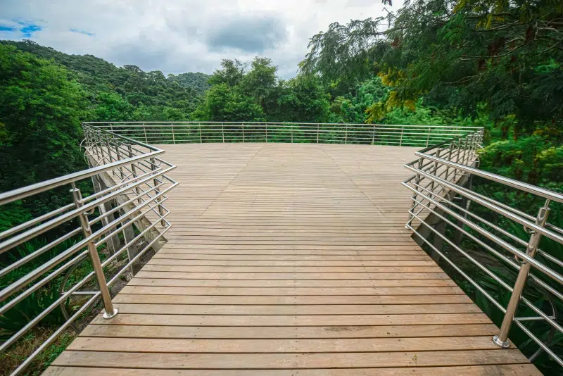 Parque da Fonte Grande - Mirante Canto da Floresta