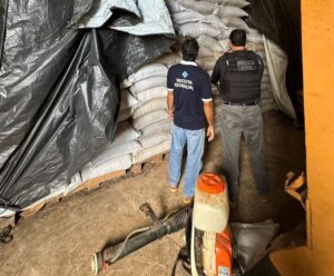 Operação resulta na apreensão de 89 toneladas de pimenta do reino no ES Pimenta do reino