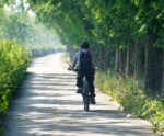 Ciclismo é aliado na prevenção de obesidade e diabetes, aponta estudo
