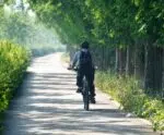 Ciclismo é aliado na prevenção de obesidade e diabetes, aponta estudo