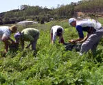 Cooperativismo: dados apontam avanços no Espírito Santo