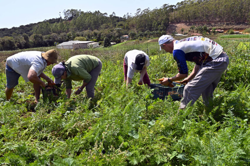 Cooperativa dos Agricultores Familiares da Região Serrana Cooperativa dos Agricultores Familiares da Região Serrana
