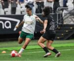 Palmeiras X Corinthians AO VIVO: veja onde assistir o futebol feminino
