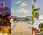 Quais são as melhores vinícolas do mundo? Veja única brasileira da lista