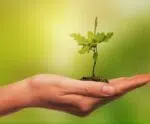 sustentabilidade agricola