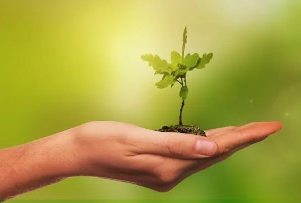 sustentabilidade agricola