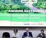 MMA e BNDES lançam os primeiros editais para restauração da Amazônia