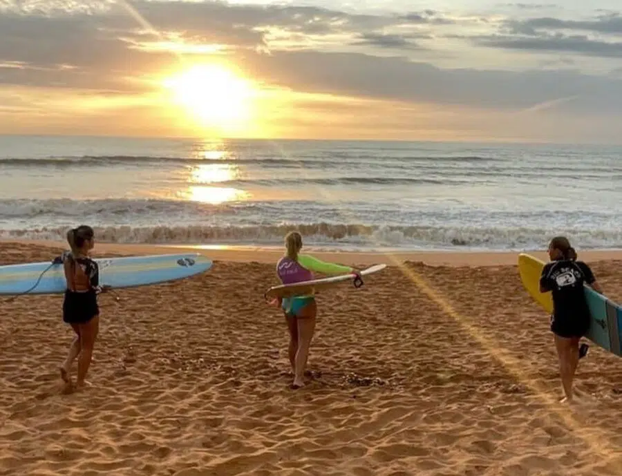 surf ES