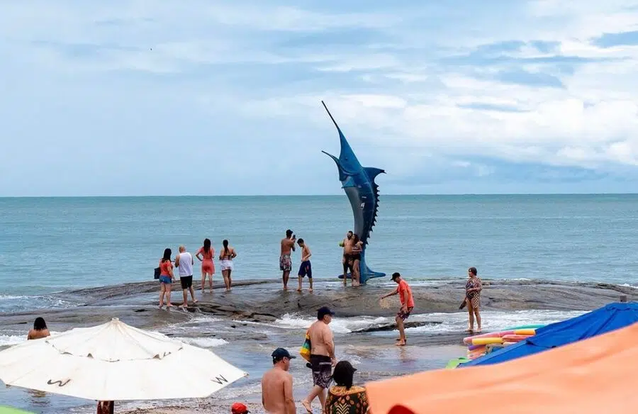 marlim azul