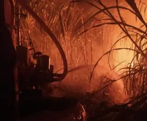 Incêndio próximo a residências assusta moradores em Muniz Freire
