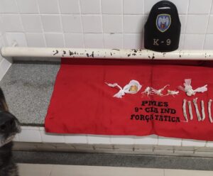 Mais uma apreensão! Snoop encontra drogas em Marataízes Apreensão de drogas em Marataízes