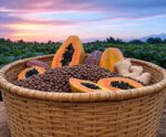 Agro capixaba terá PIB exclusivo em 2025