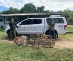 Iema combate cativeiros ilegais de fauna em cidade do Espírito Santo